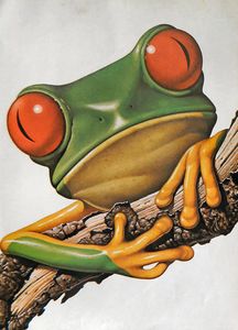 public domain frog illustration 18