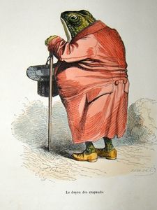 public domain frog illustration 7