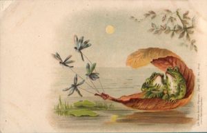 public domain frog illustration 14