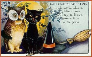 public domain vintage owl image 13