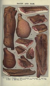 public domain vintage color illustrations of food and sliced butcher meat
