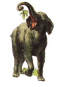 vintage elephant scrap paper