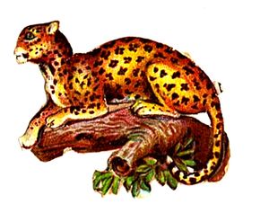 vintage leopard scrap paper