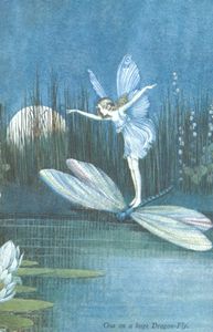 One on a Huge Dragon Fly