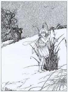 The First of the Fairies the English Snowdrop