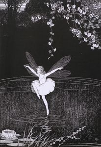 The Dragon Fly Fairy