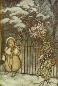 A Chrysanthemum Heard Her and Said Pointedly âHoity Toity What Is This 1913 Arthur Rackham