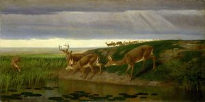 William Holbrook Beard Deer on the Prairie