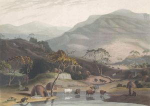 A Kaffer Village Vintage Illustration
