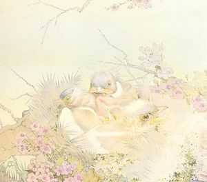 Chaffinch Baby Vintage Baby Bird Illustration