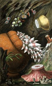 Corynactis Ciridis Zoanthus COuchii Bologera Eques Aureliana AUgusta Copy Vintage Sea Anemone Illustration
