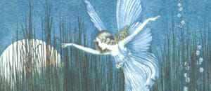 Fairies