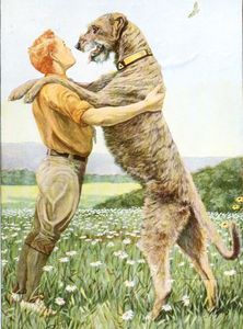 Irish Wolfhound Dogs Vintage Illustrations