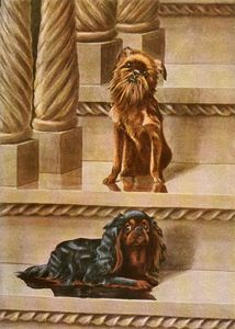 King Charles Spaniel and Brussels Griffon Dogs Vintage Illustrations