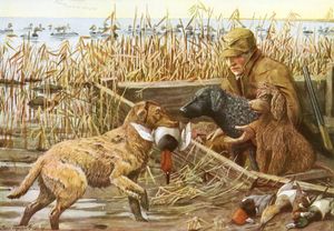 Retreiver Dogs Vintage Illustrations