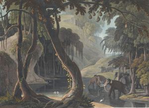 Scene in Sitsikamma Vintage Illustration
