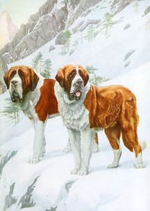 Smooth and Rough St Vintage Illustrations