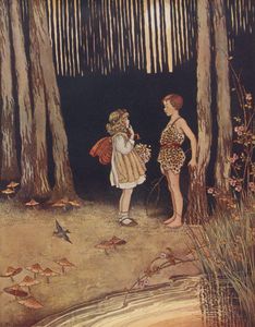 The Boy in the Forest