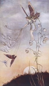 The Queen of the Butterflies
