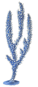 Thick Gorgonia Vintage Coral Illustration