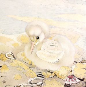 Tropic Bird Vintage Baby Bird Illustration