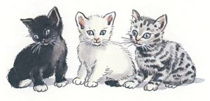 3 Kittens Peter and Lottas Adventure 01