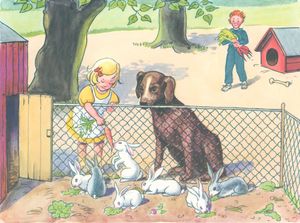 Annika the Girl Feeding Carrot to a Rabbit As a Dog Watches on