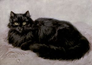 Black Persian Cats Vintage Cat Illustrations in the Public Domain