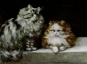 Silver Tabby and Orange and White Persians Vintage Cat Illustrations in the Public Domain