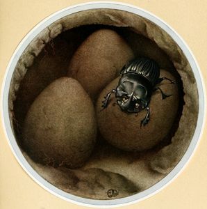 Spanish Copris Vintage Illustration of Insects