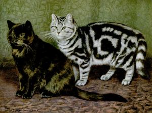Tortoiseshell Tom and Silver Tabby Short Haired Cats Vintage Cat Illustrations in the Public Domain