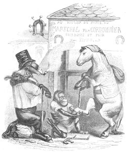 Vintage Anthropomorphic Illustration of a Horse Getting His Shoe Replaced by a Monkey