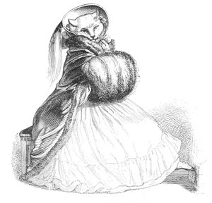 Vintage Anthropomorphic Illustration of a in a Fancy Dress
