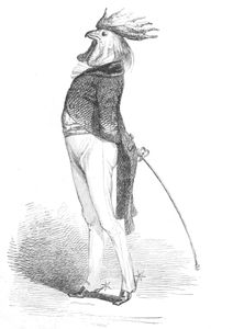 Vintage Anthropomorphic Illustration of a Rooster Dressed in a Long Tailed Jacket