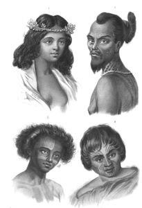 Vintage Portrait Illustrations of Various Races 6