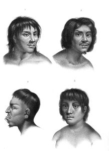Vintage Portrait Illustrations of Various Races 7