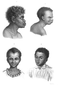 Vintage Portrait Illustrations of Various Races 8