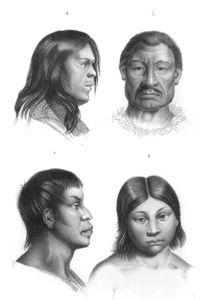 Vintage Portrait Illustrations of Various Races 10