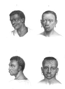 Vintage Portrait Illustrations of Various Races 11