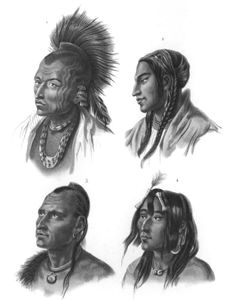 Vintage Portrait Illustrations of Various Races 14