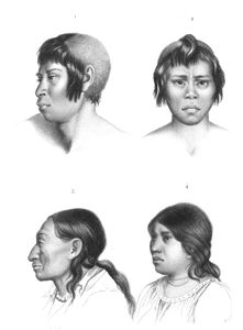 Vintage Portrait Illustrations of Various Races 15