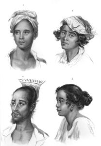Vintage Portrait Illustrations of Various Races 16