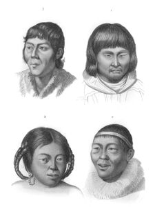 Vintage Portrait Illustrations of Various Races 17