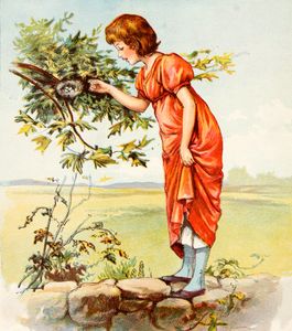 Elizabeth Birds Nest Nursery Rhyme Illustration