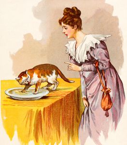 Pussy Cat Eat the Dumplings Nursery Rhyme Illustration